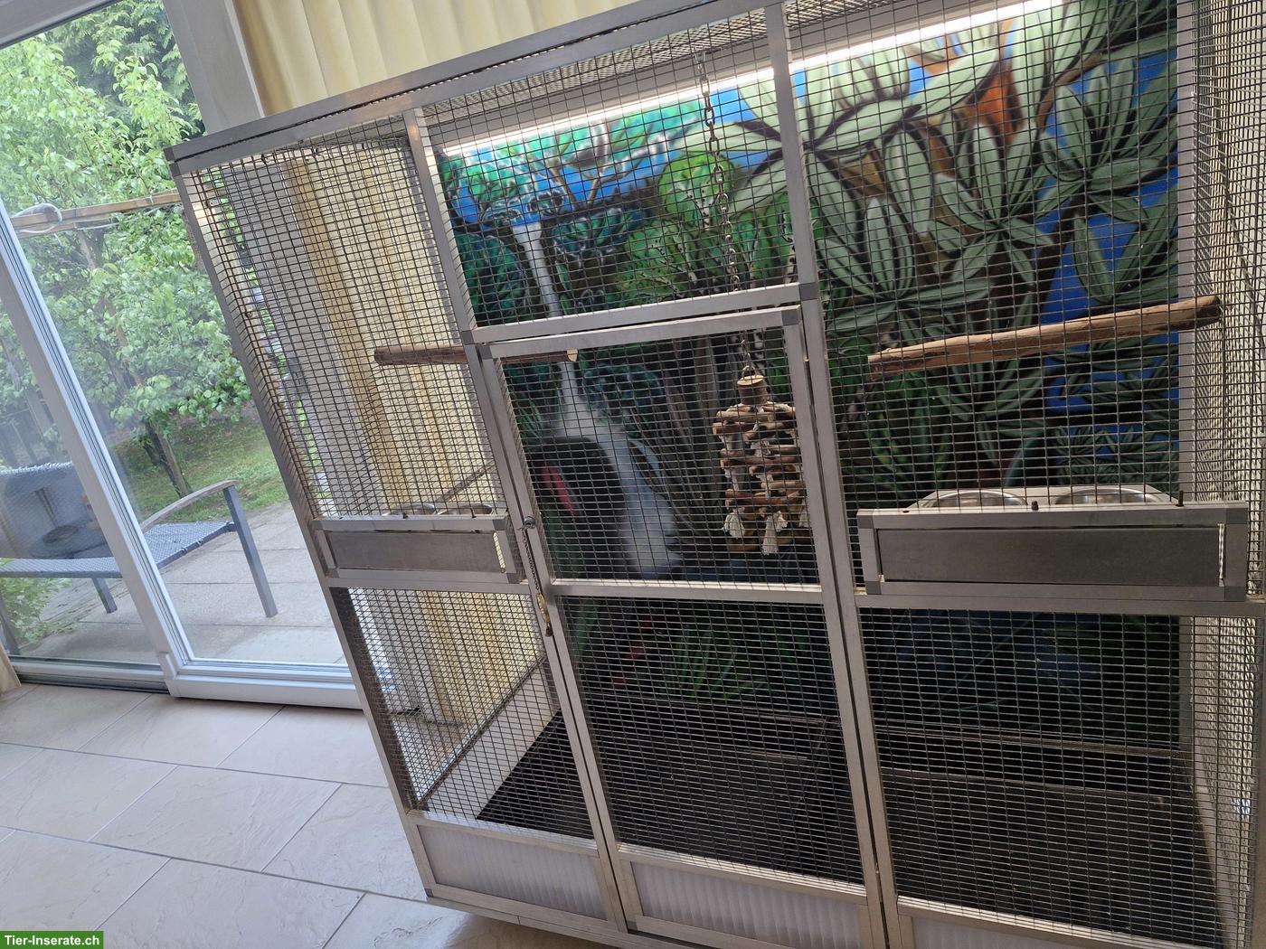 Bild 8: Grosse Vogelvoliere mit schöner Gemälde-Rückwand