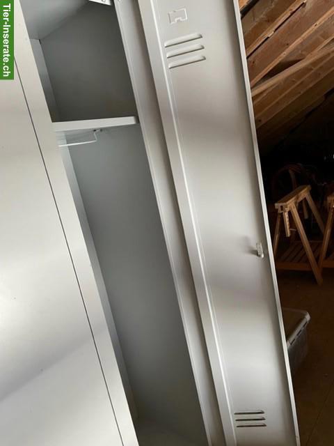 Bild 3: Martingal & Gogue Kleinpferd, Abstellschrank zu verkaufen