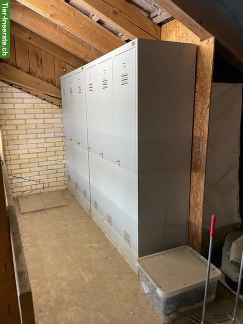 Bild 4: Martingal & Gogue Kleinpferd, Abstellschrank zu verkaufen