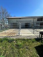 2 Paddockboxen an Rentnerpferde in Vollpension zu vermieten