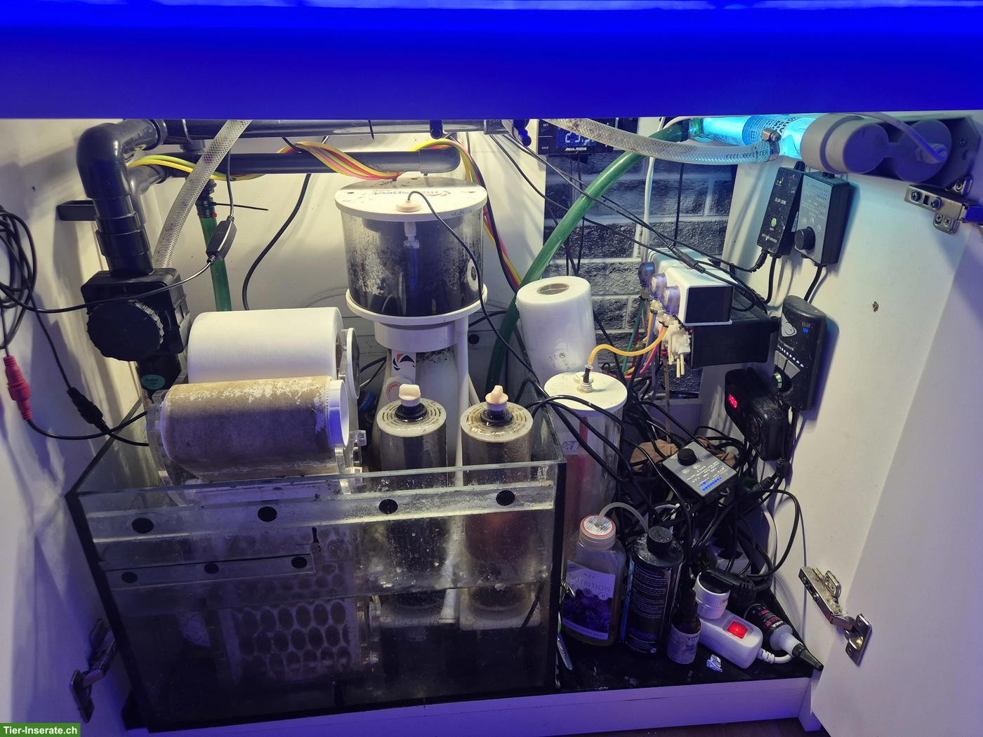 Bild 3: Meerwasser Aquarium mit Technik und Inhalt 250 Liter