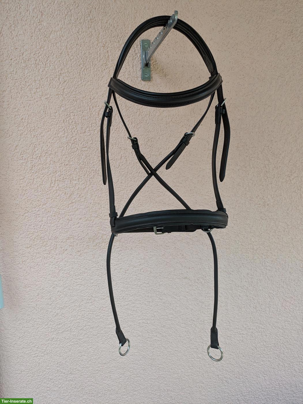 Bild 3: Bitless Bridle Barefoot zu verkaufen