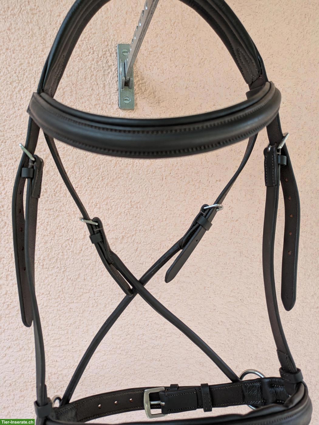 Bild 4: Bitless Bridle Barefoot zu verkaufen