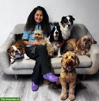Hundesalon Pelos y Patas in Küsnacht ZH