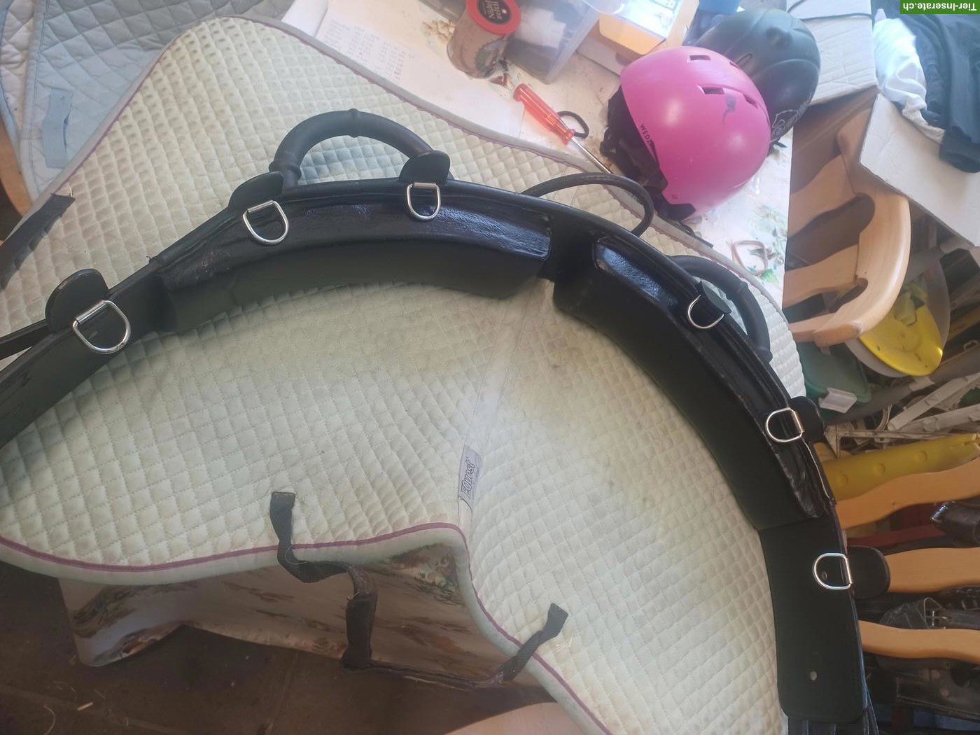 Bild 10: Busse Anky Dressursattel 17.5 Zoll zu verkaufen