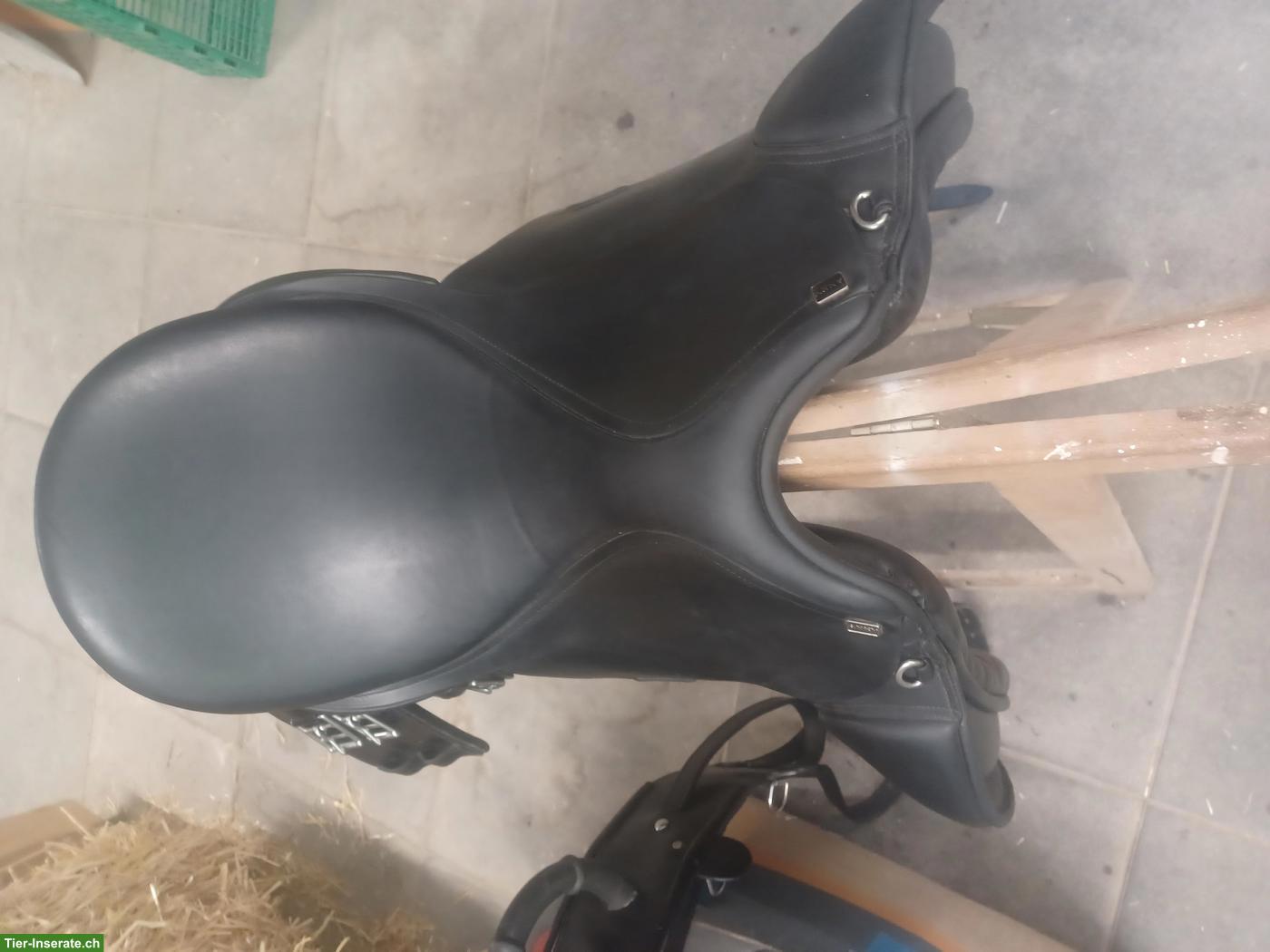 Bild 3: Busse Anky Dressursattel 17.5 Zoll zu verkaufen