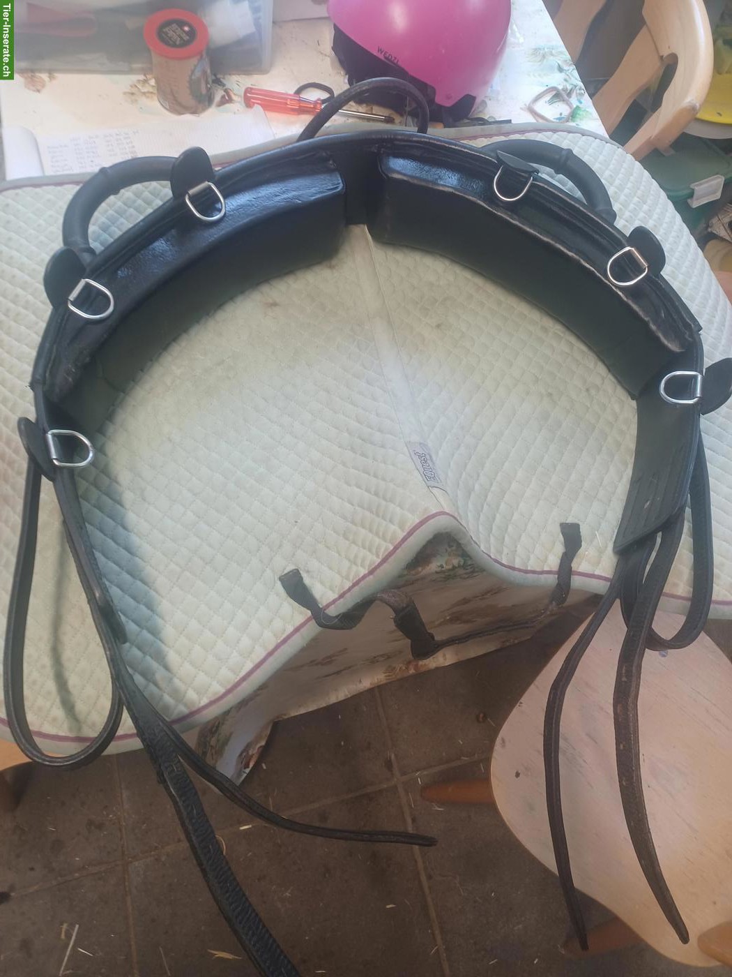 Bild 9: Busse Anky Dressursattel 17.5 Zoll zu verkaufen