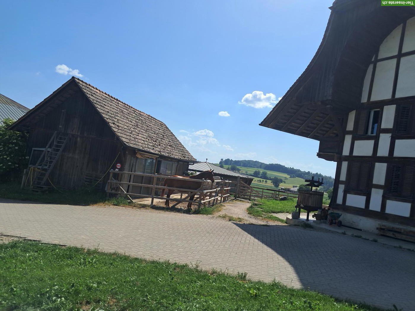 Horsepoint Western Riding Ranch neu in Salvenach