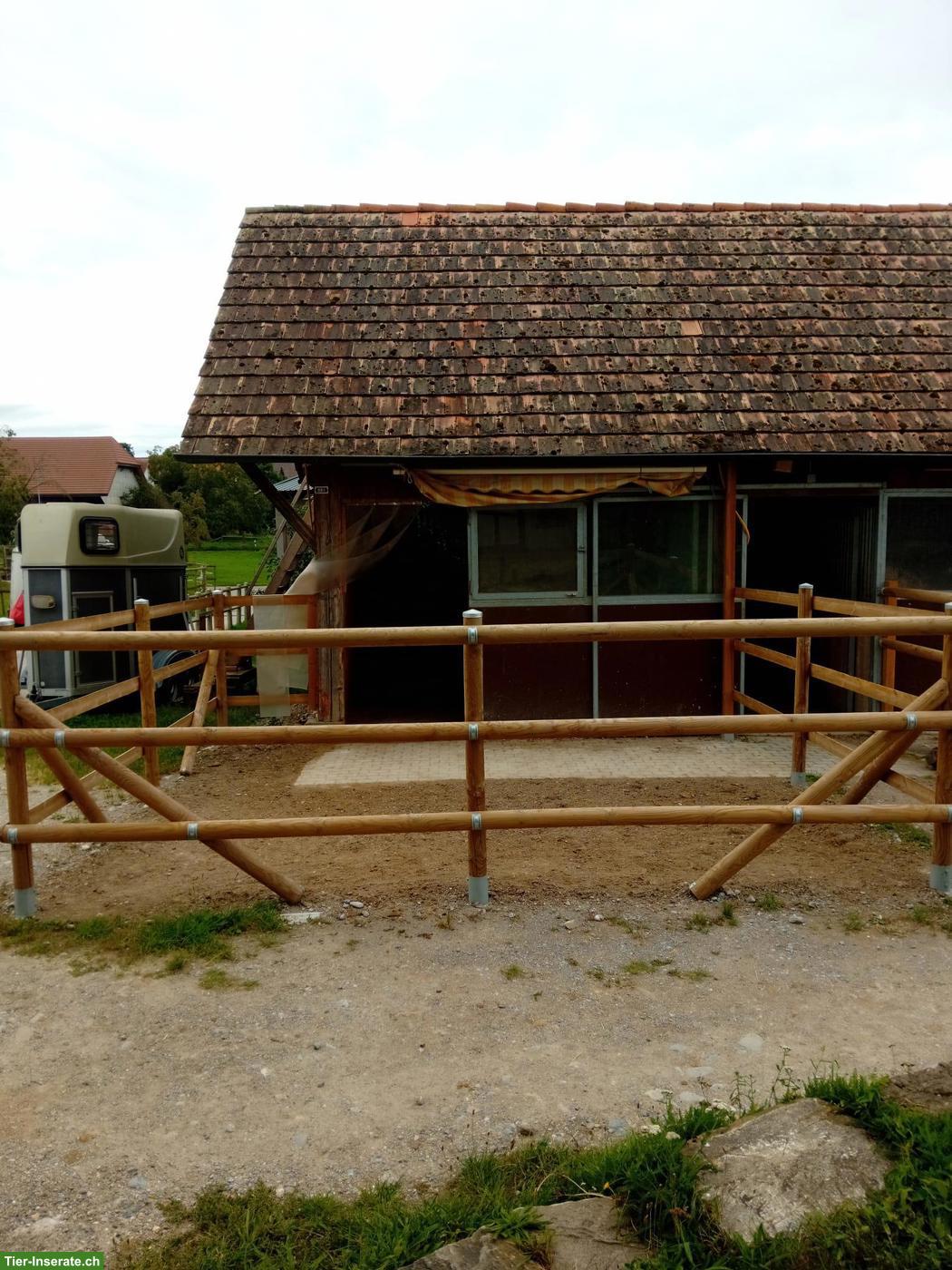 Bild 2: Horsepoint Western Riding Ranch neu in Salvenach