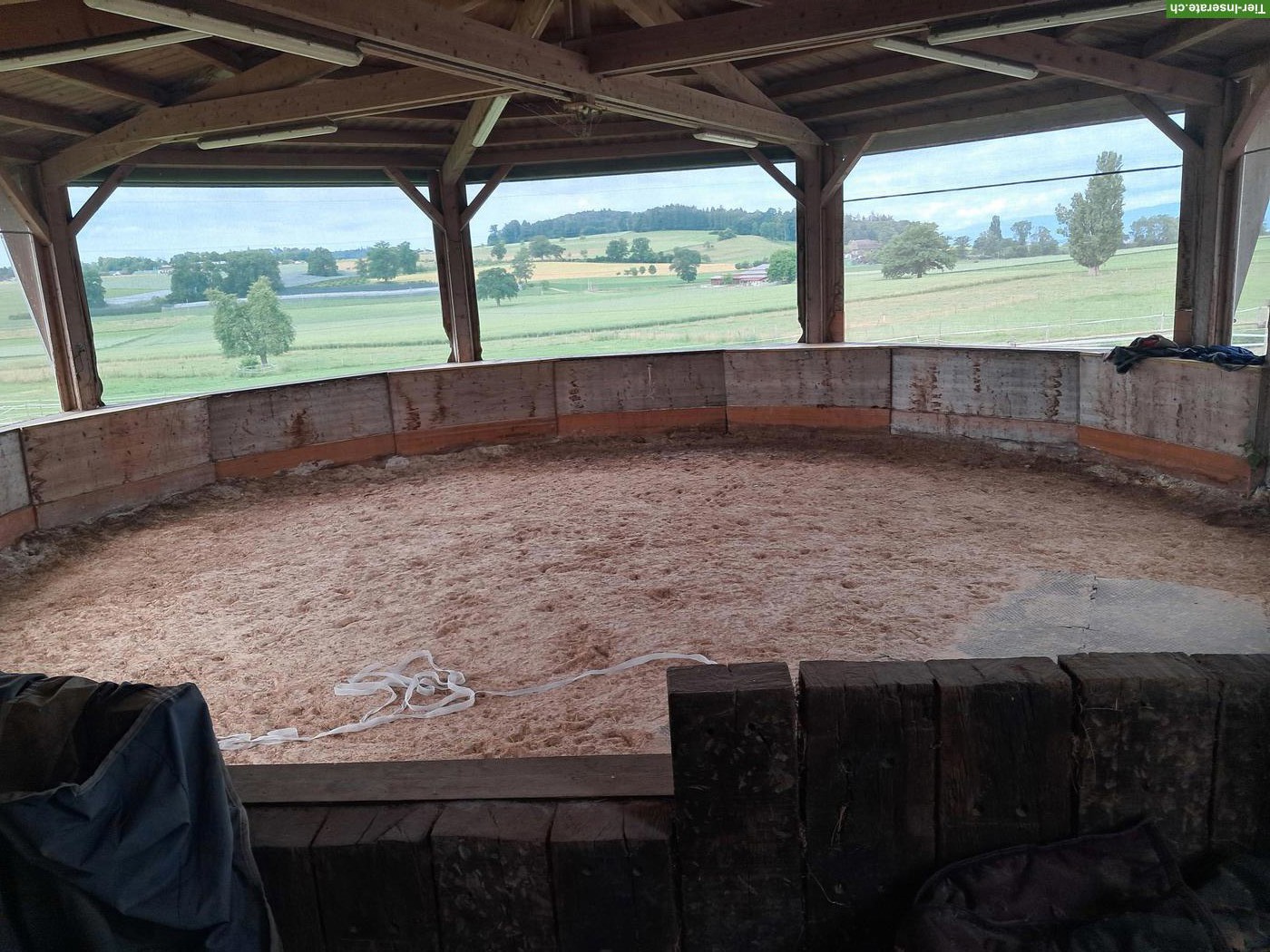 Bild 4: Horsepoint Western Riding Ranch neu in Salvenach