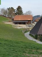 Offenstallplatz frei für 1-2 Pferde/Pony in der Region Bolligen
