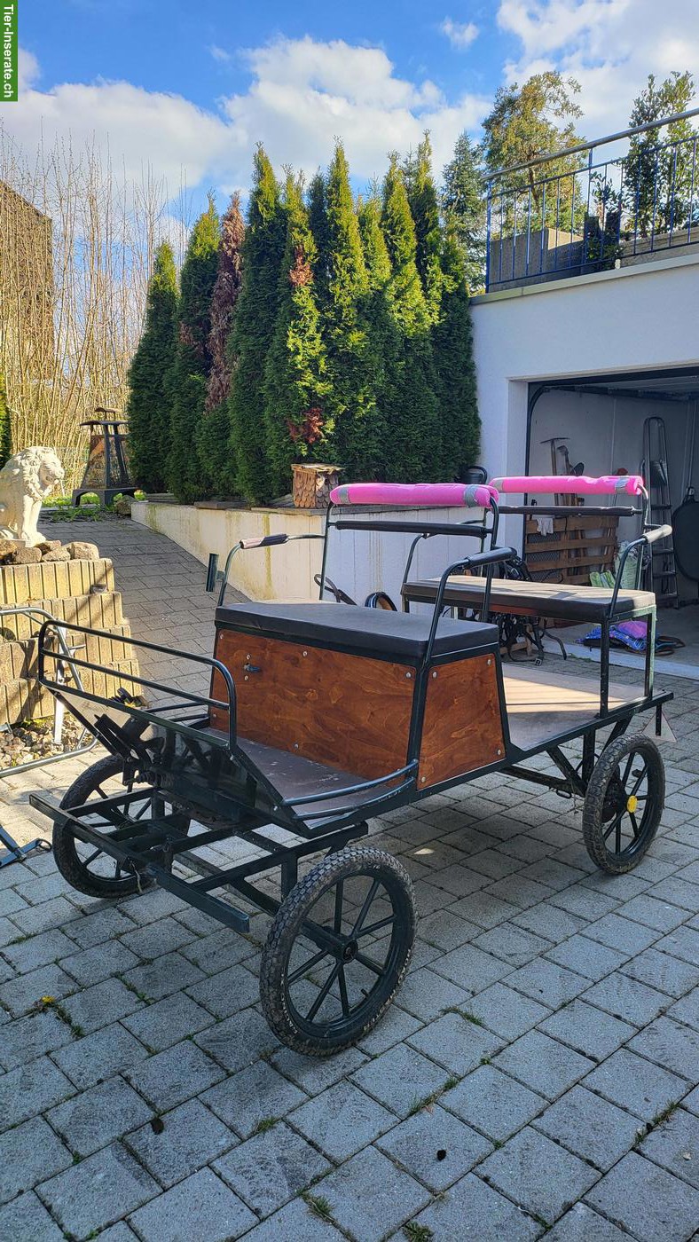 Alltagswagen, ein- & zweispännige Kutsche
