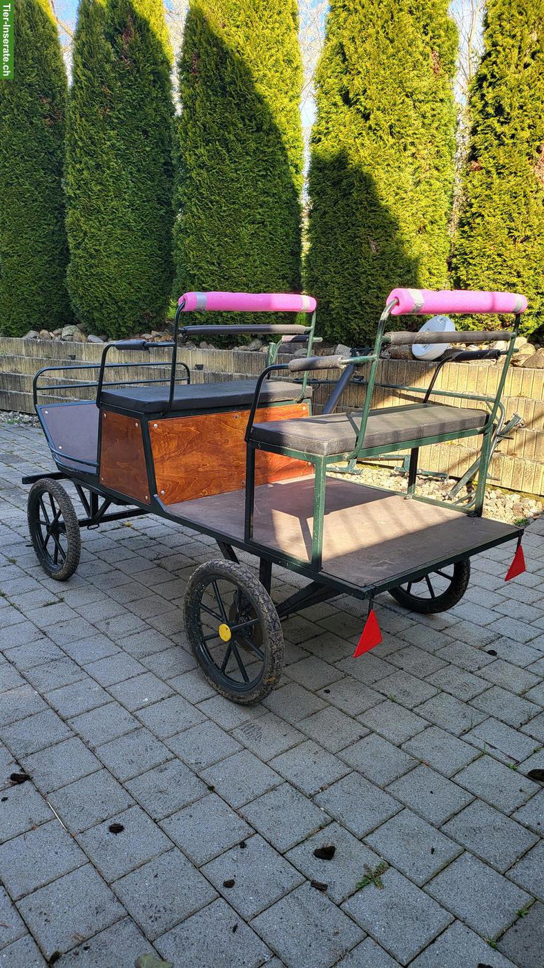 Bild 2: Alltagswagen, ein- & zweispännige Kutsche