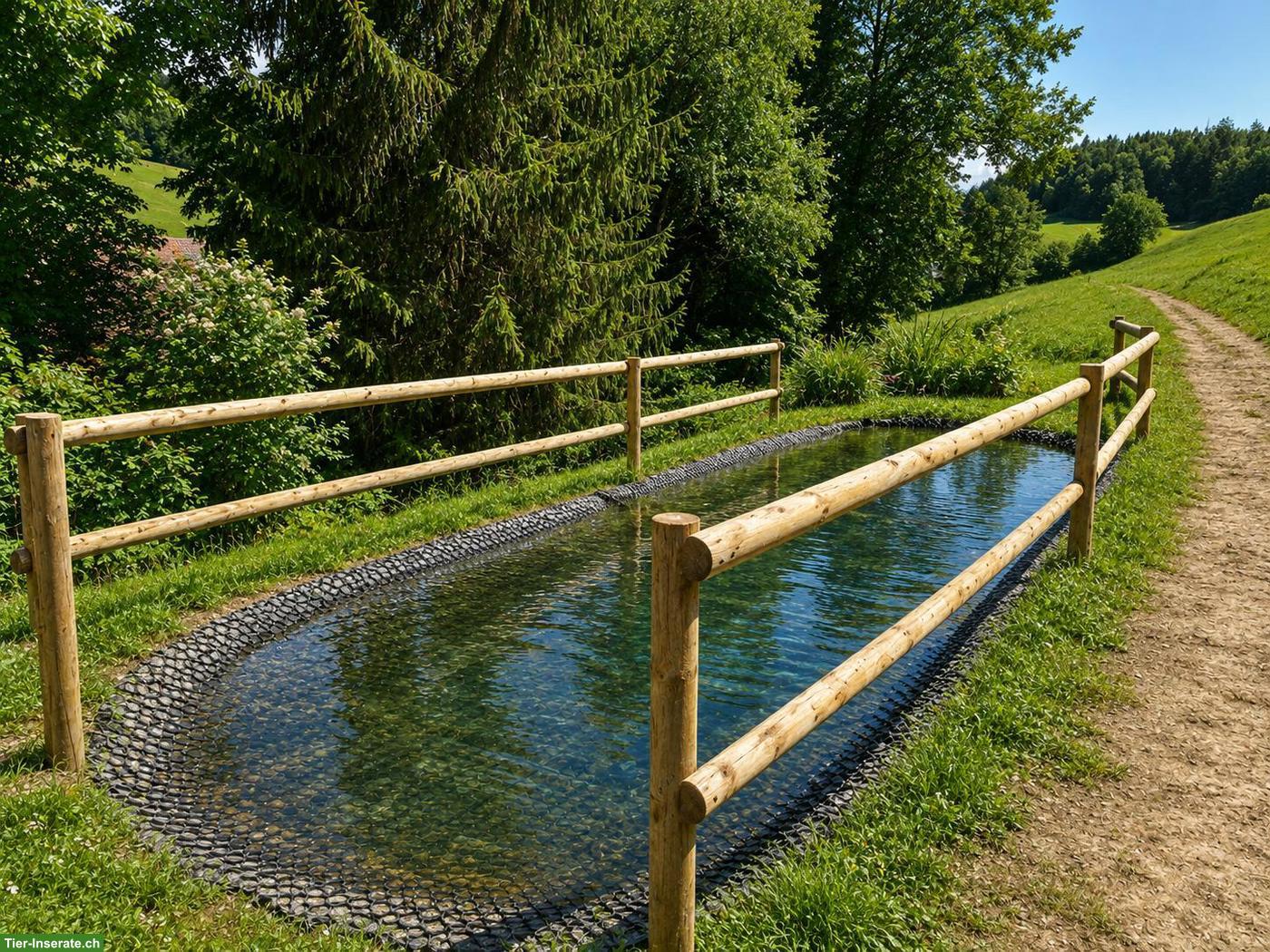 Bild 5: Offenstallplatz frei in Ursenbach BE mit grossem Trail & Weiden