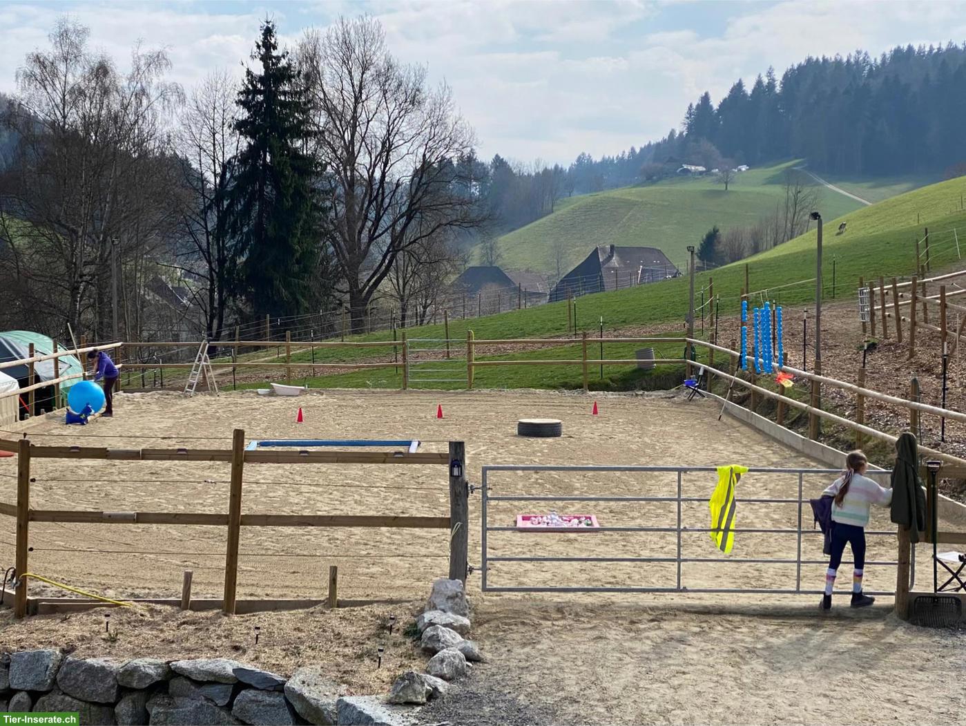 Bild 9: Offenstallplatz frei in Ursenbach BE mit grossem Trail & Weiden