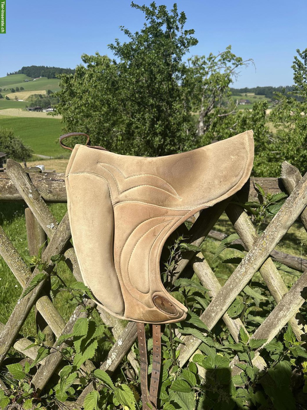 Bild 2: Reitpad Signum Freedom Kenzie Dysli