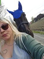 Suche Reitbeteiligung bzw. ein Pferd zum Reiten und Betüdeln