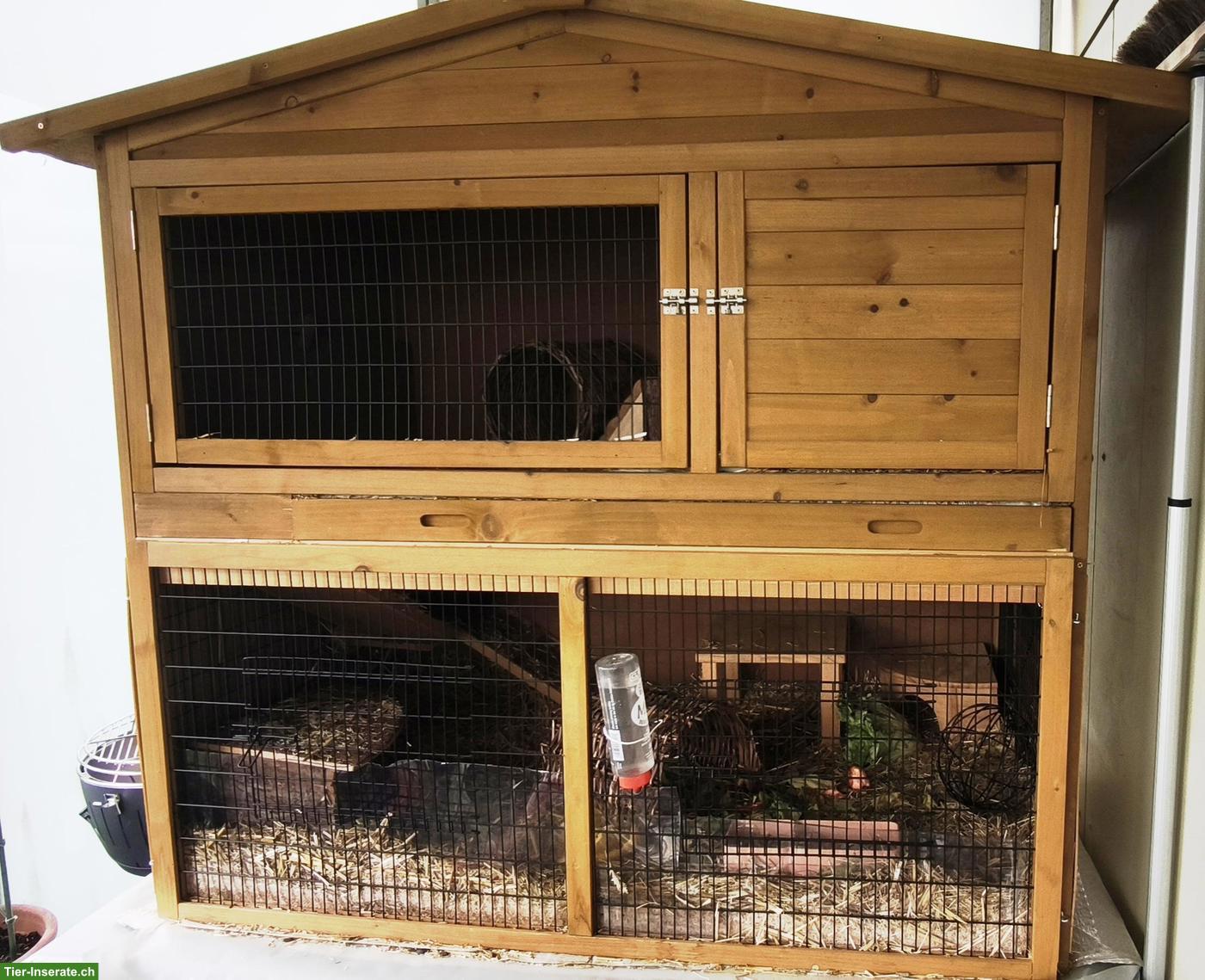 Bild 2: 3 Meerschweinchen (Kastraten) inkl. Käfig