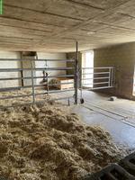 Pensionstall für Ponys oder Shettys in Hildisrieden LU