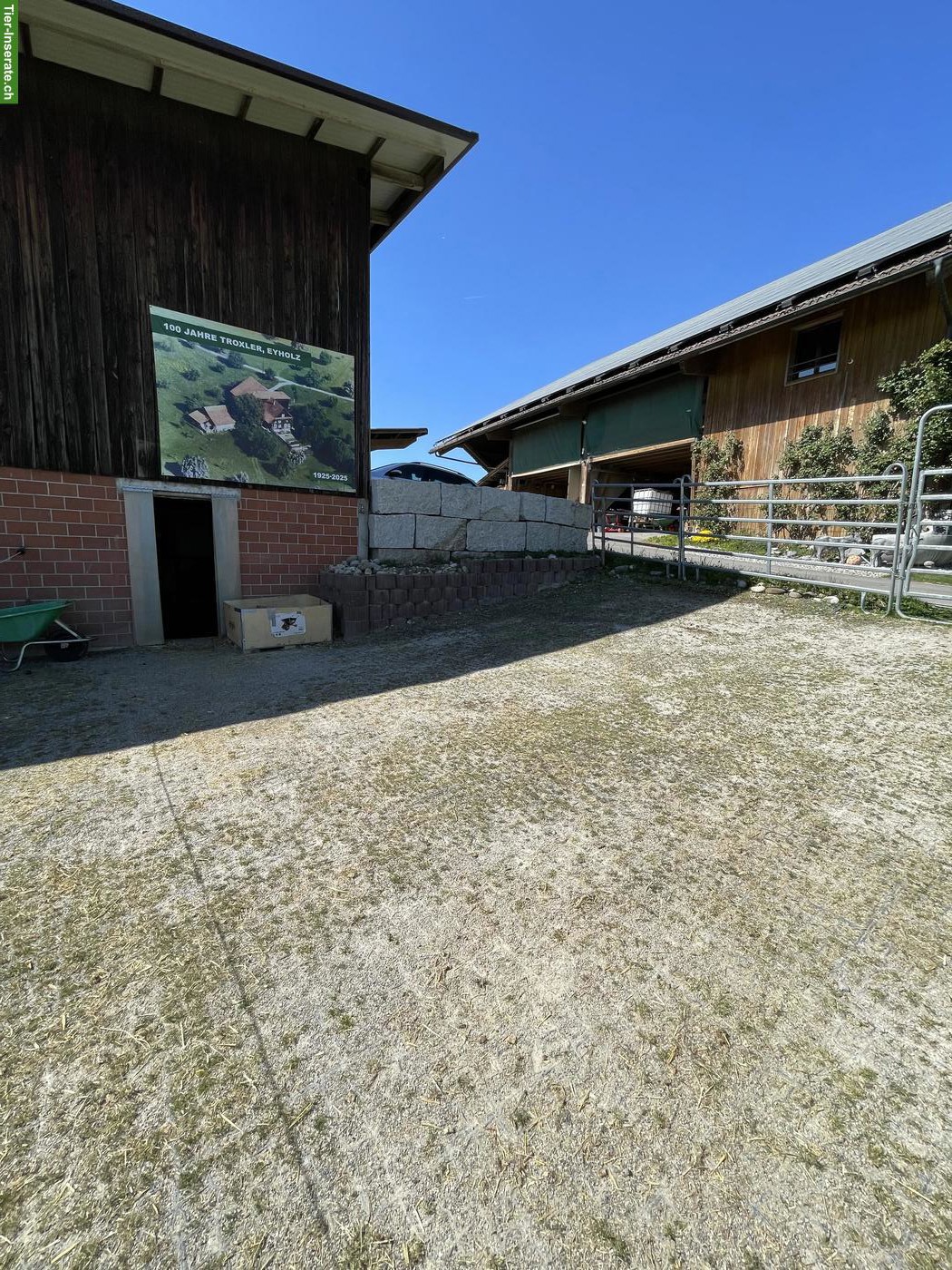 Bild 3: Pensionstall für Ponys oder Shettys in Hildisrieden LU