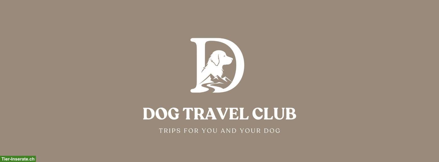 Bild 2: Car-Reise mit Hund | Dog Travel Club | Melchsee-Frutt | 28.06.2026