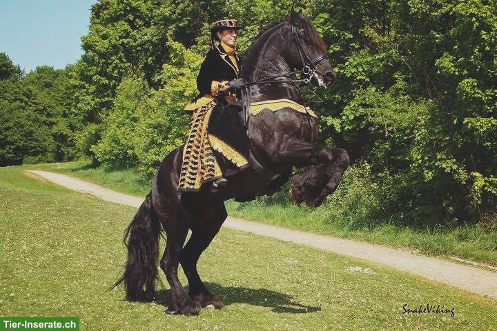Bild 2: Unterricht in klassischer Reitkunst, im Dialog mit dem Pferd