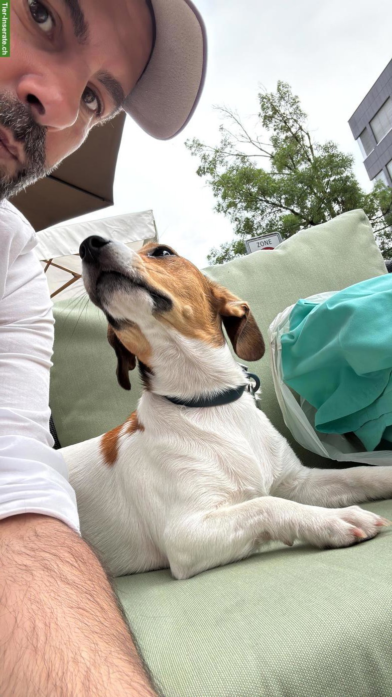 🏡 Ihr Hund in guten Händen - persönliche Betreuung statt Hundepension