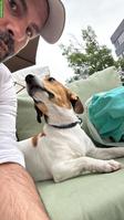 🏡 Ihr Hund in guten Händen - persönliche Betreuung statt Hundepension