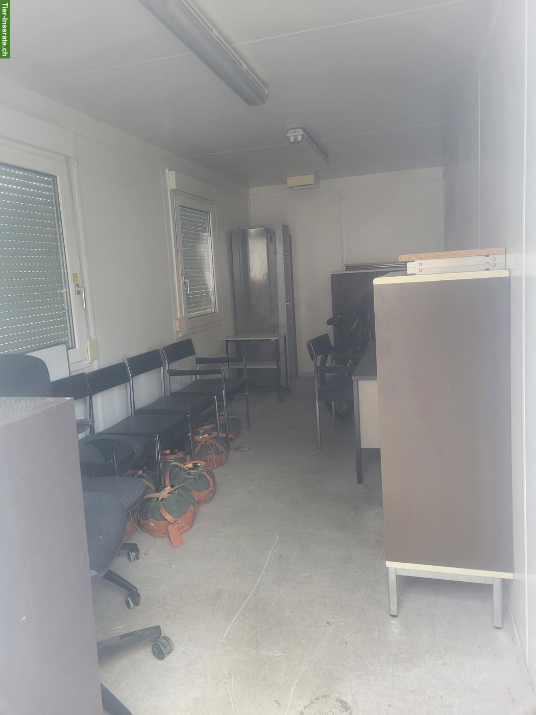 Bild 5: Occasion Bürocontainer zu verkaufen
