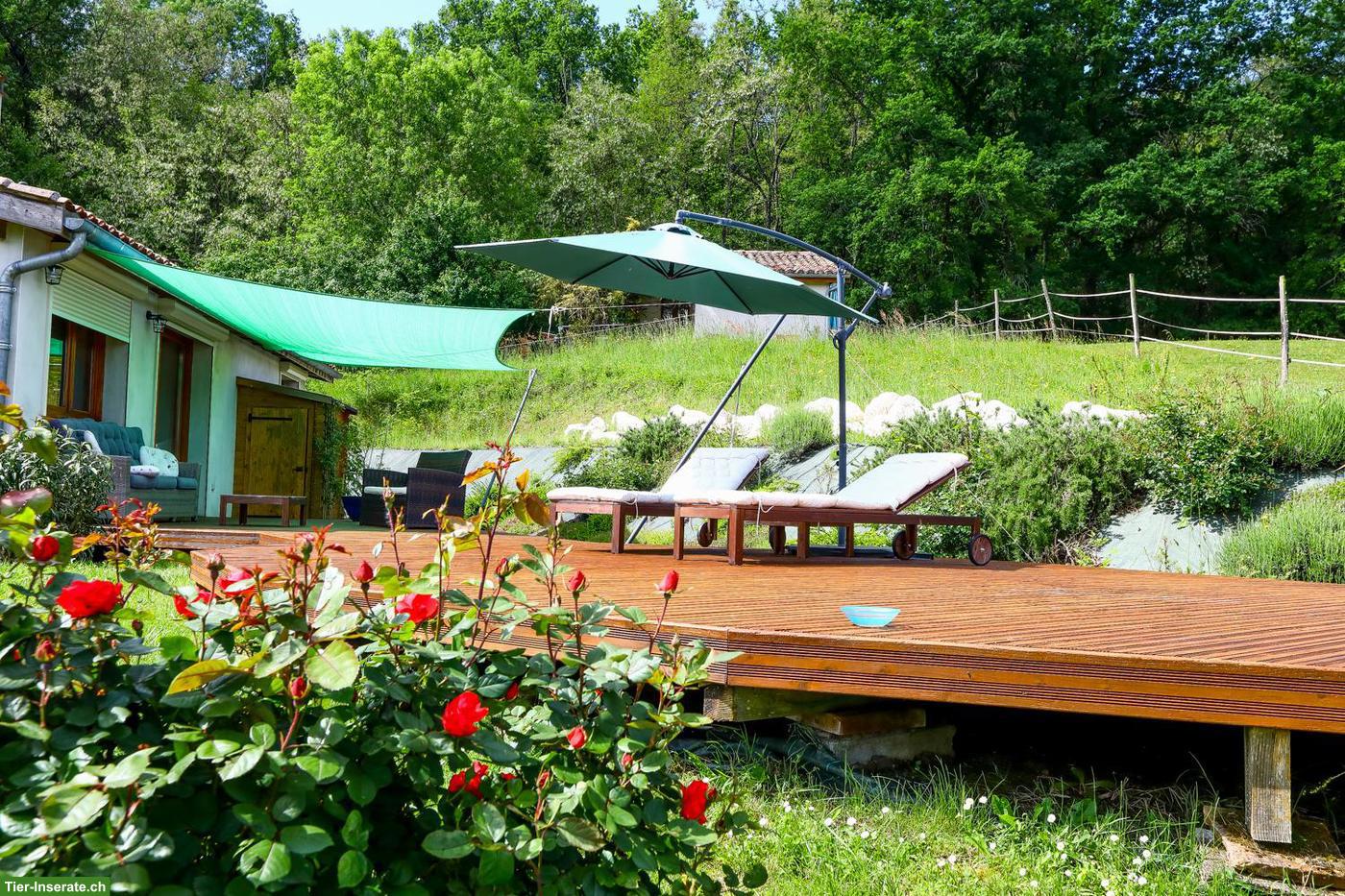 Bild 2: Pferdeparadies mit Haus, Gästehaus & 7.5 ha Land in Südwestfrankreich