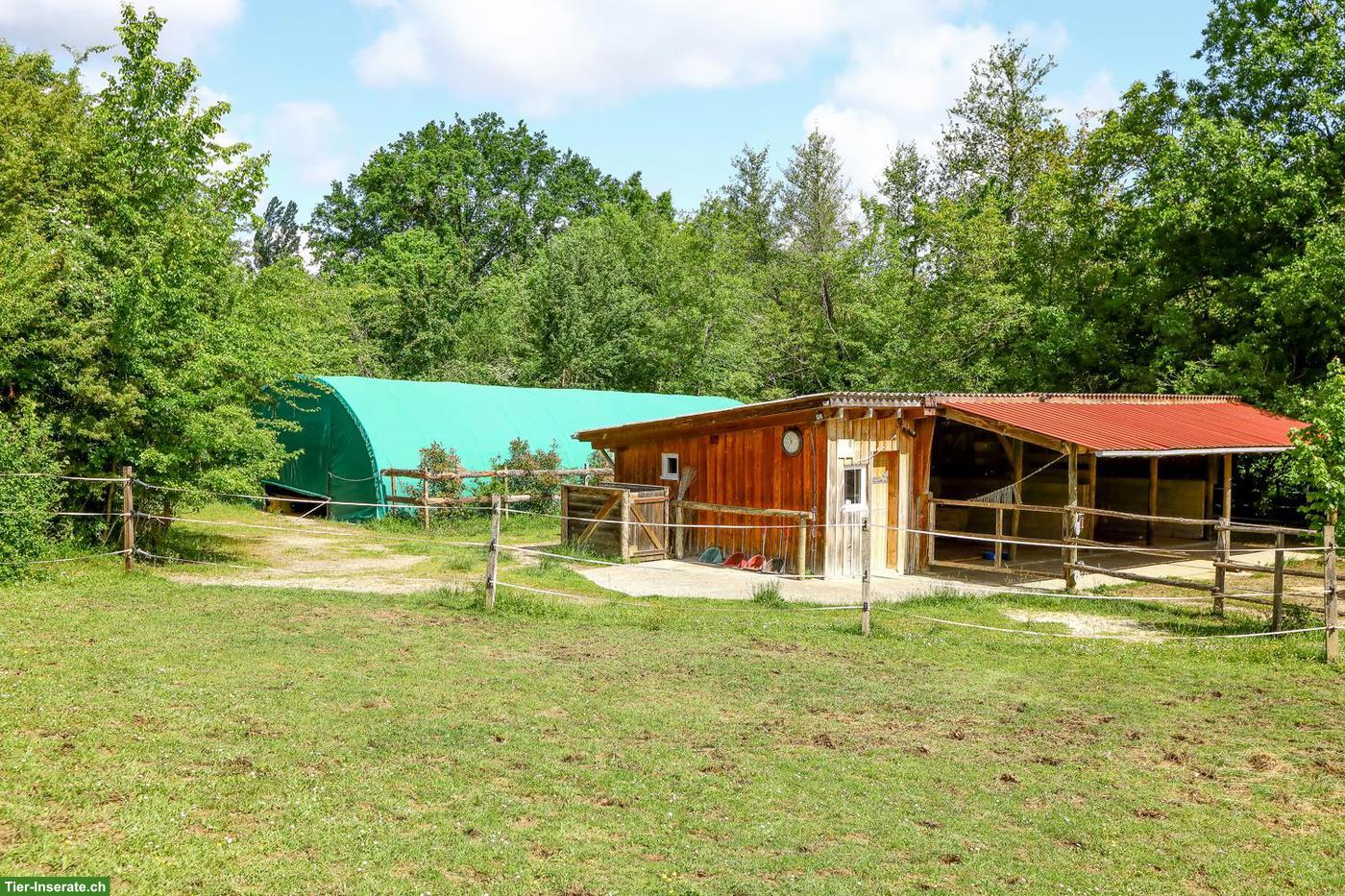 Bild 4: Pferdeparadies mit Haus, Gästehaus & 7.5 ha Land in Südwestfrankreich