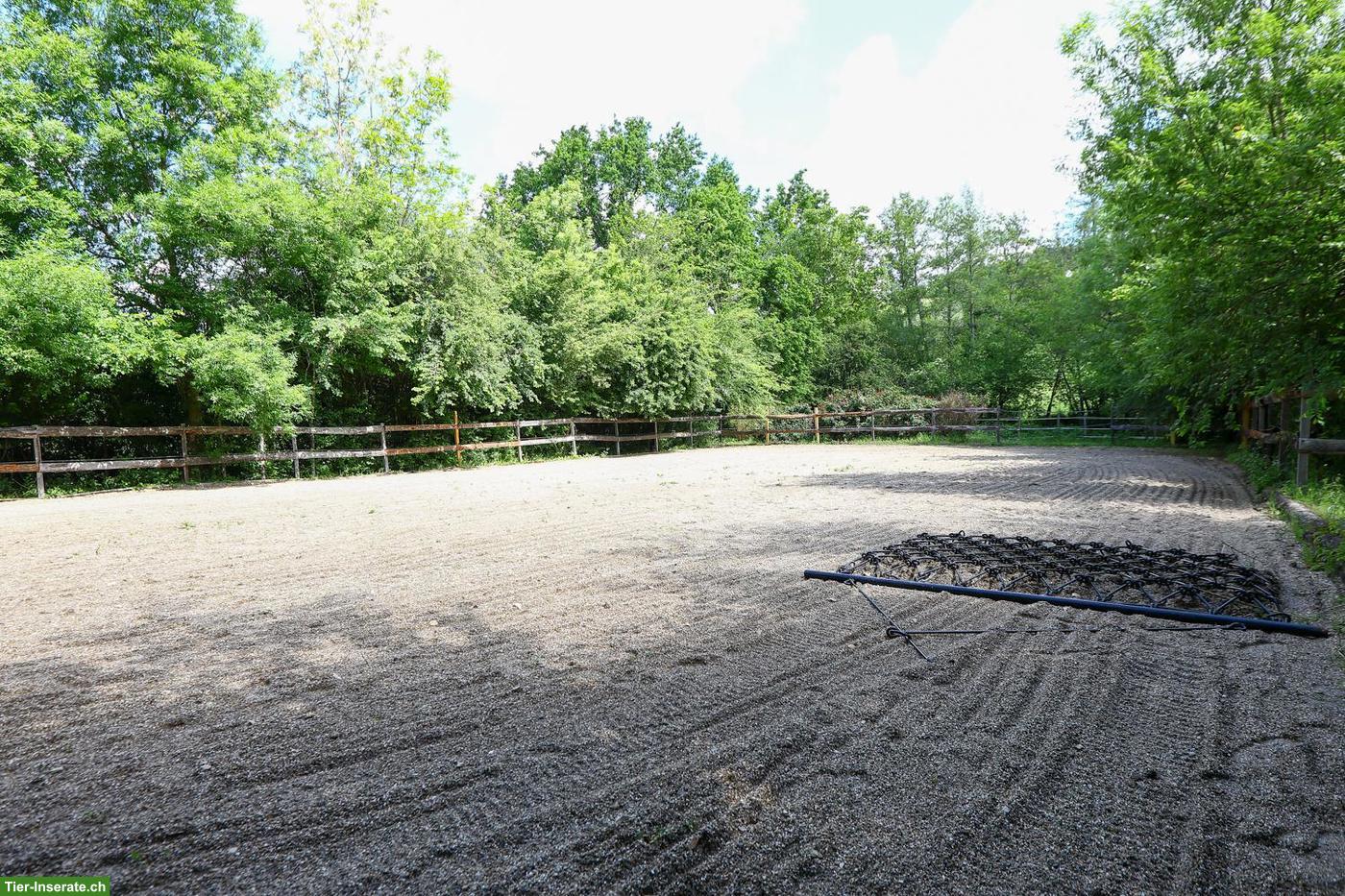 Bild 9: Pferdeparadies mit Haus, Gästehaus & 7.5 ha Land in Südwestfrankreich
