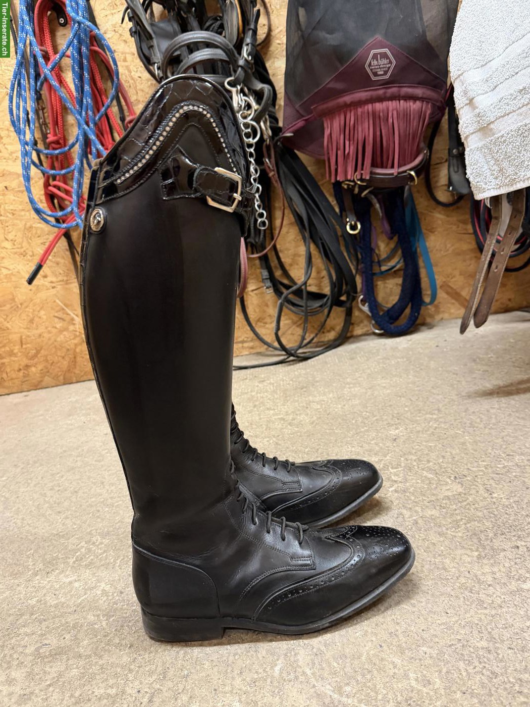 Bild 2: Neue Reitstiefel Gr. 37 zu verkaufen