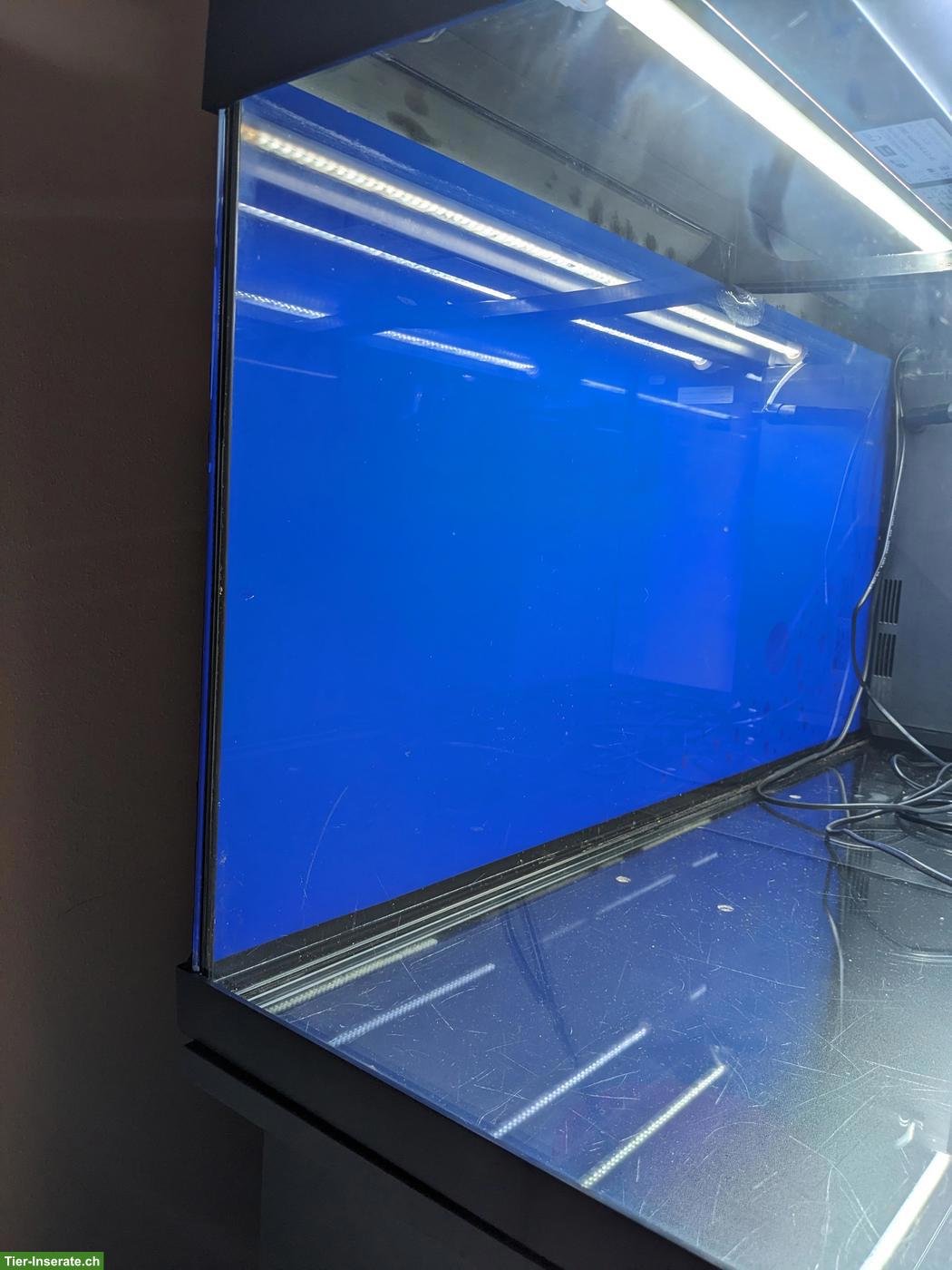 Bild 3: Gebrauchtes Aquarium zu verkaufen