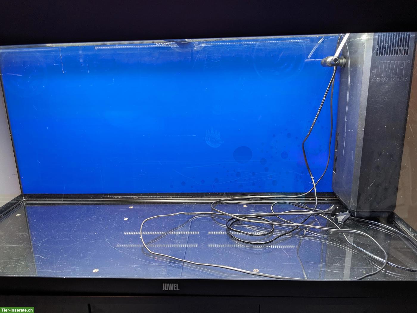 Bild 4: Gebrauchtes Aquarium zu verkaufen