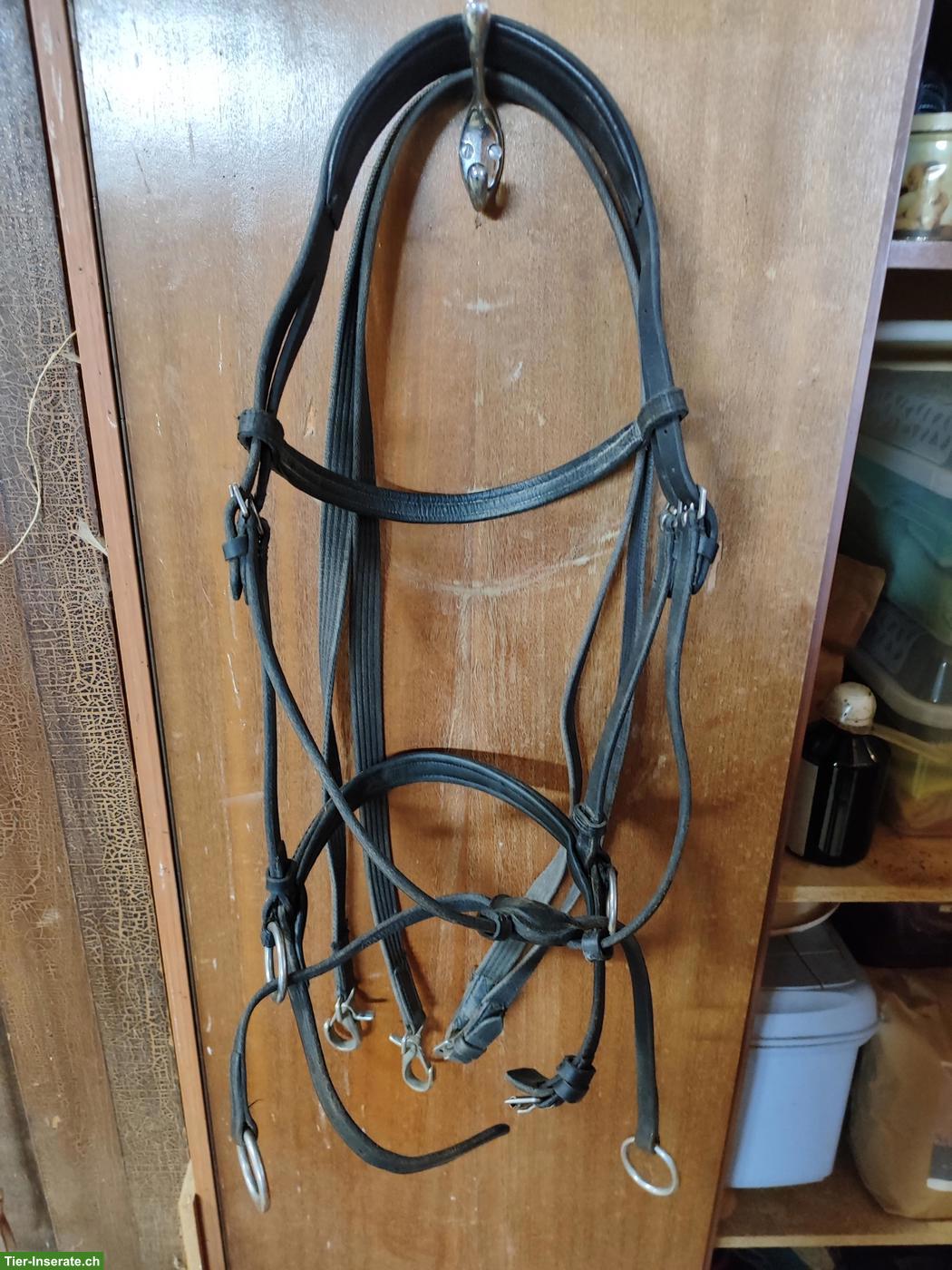 Bild 2: Bitless Bridle / Gebissloser Zaum Gr. Full/Cob