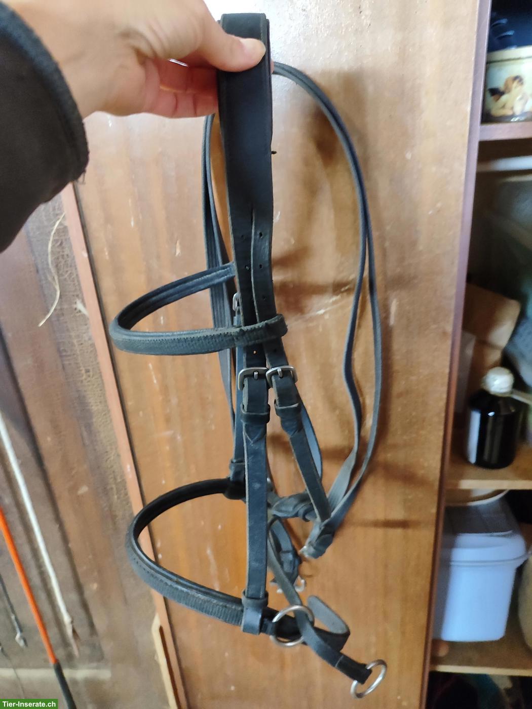 Bild 3: Bitless Bridle / Gebissloser Zaum Gr. Full/Cob
