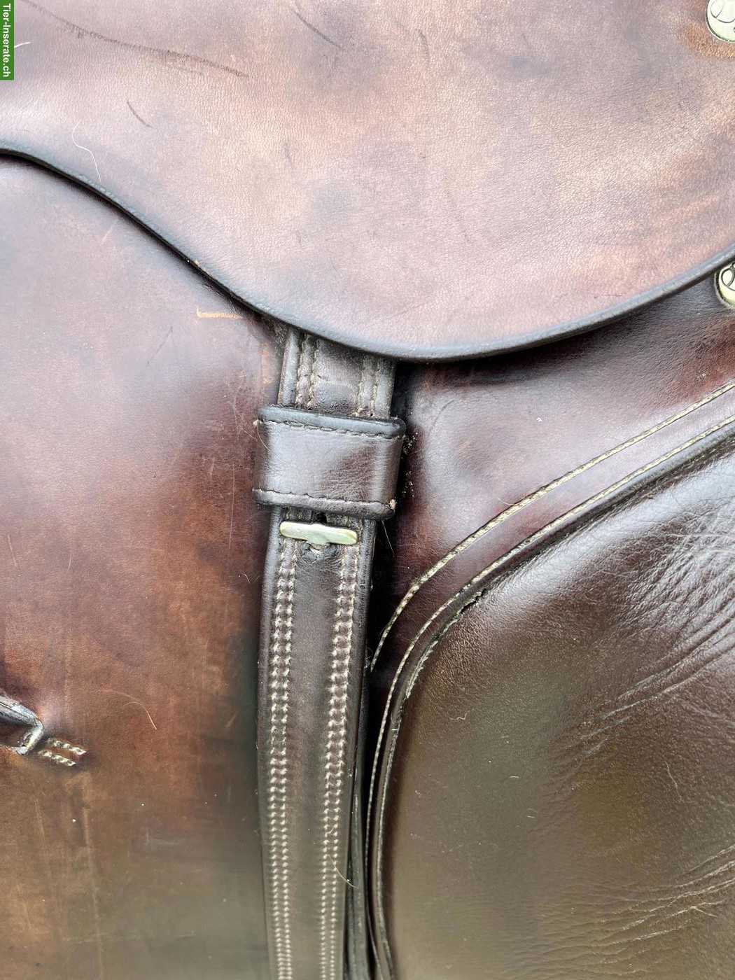 Bild 2: Röösli Dressursattel Classic Luzern, ca. 16.5 Zoll, rotbraun