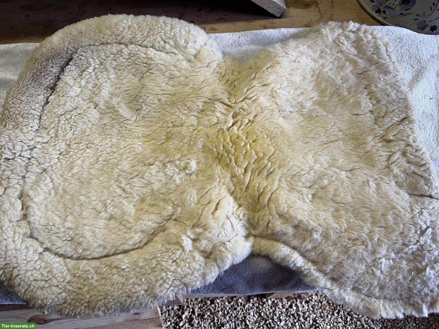 Bild 7: Röösli Dressursattel Classic Luzern, ca. 16.5 Zoll, rotbraun