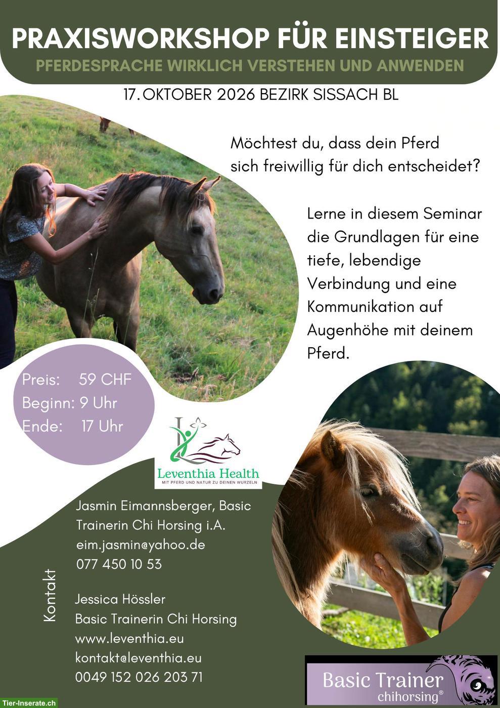 Praxisworkshop: Pferdesprache wirklich verstehen & anwenden