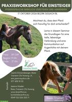Praxisworkshop: Pferdesprache wirklich verstehen & anwenden