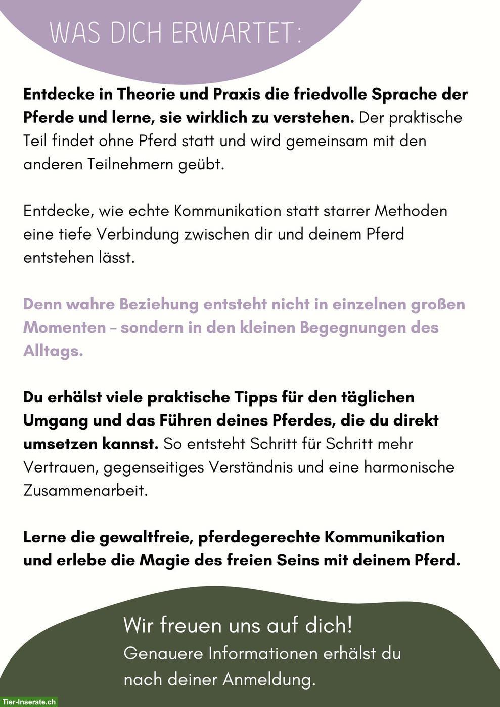Bild 2: Praxisworkshop: Pferdesprache wirklich verstehen & anwenden