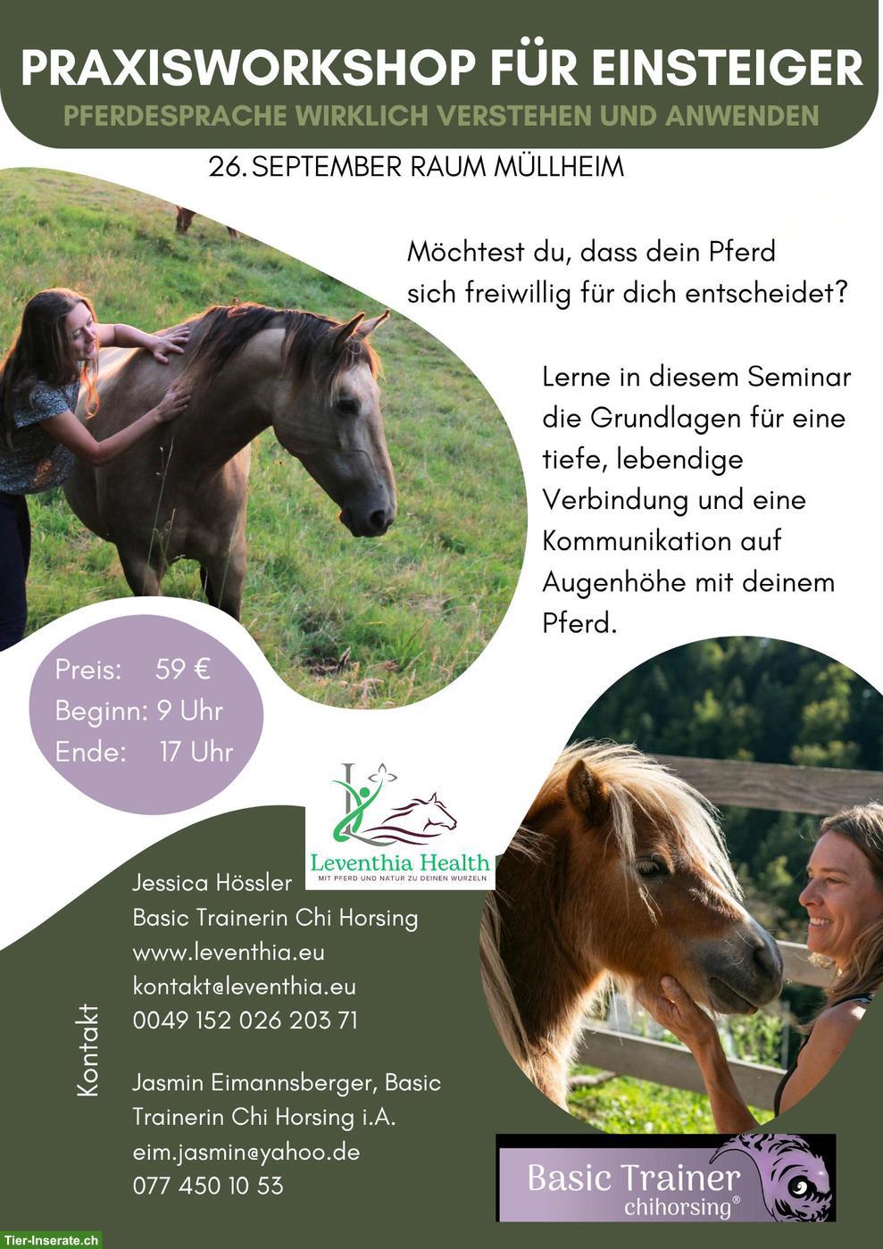 Bild 3: Praxisworkshop: Pferdesprache wirklich verstehen & anwenden