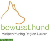Welpenschule Luzern | bewusst.hund
