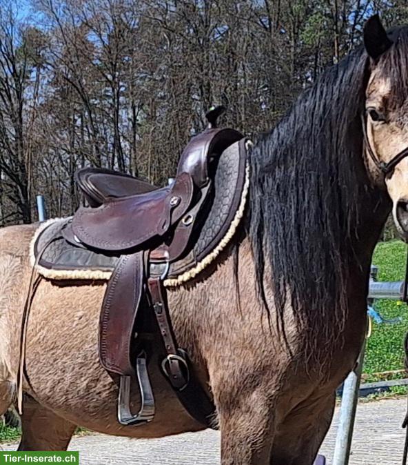 Bild 2: Pony Westernsattel, baumlos, verstellbar