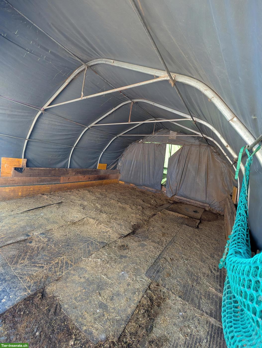 Bild 3: Weidehütte und Zelte zu verkaufen