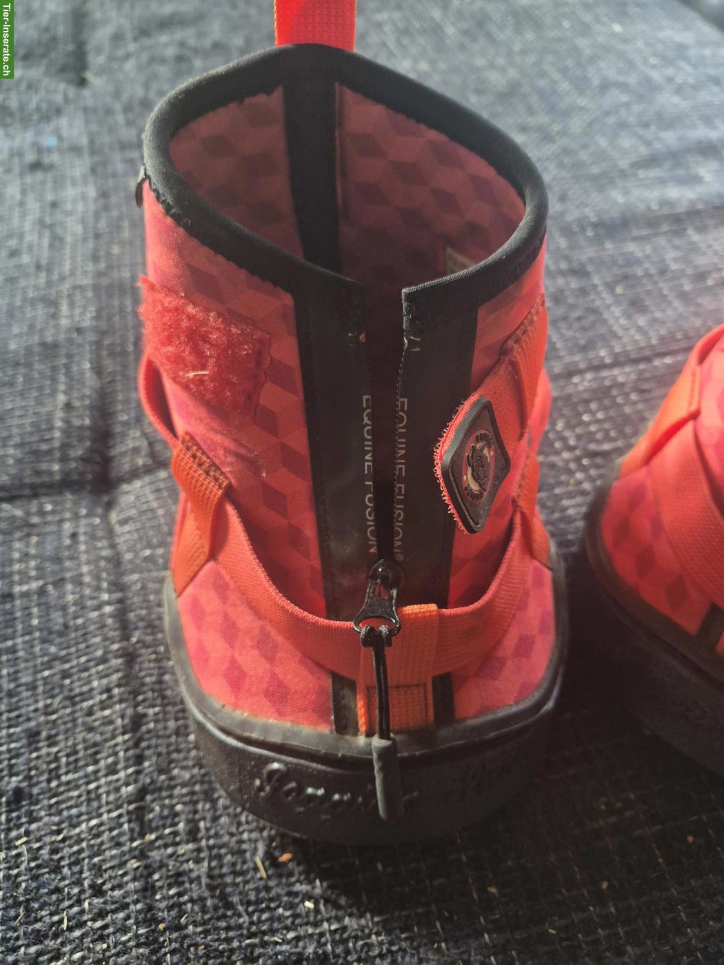 Equine Fusion Recovery Shoe 12, neuwertig