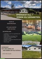 Pferdestall + Weide an Selbstversorger zu vermieten