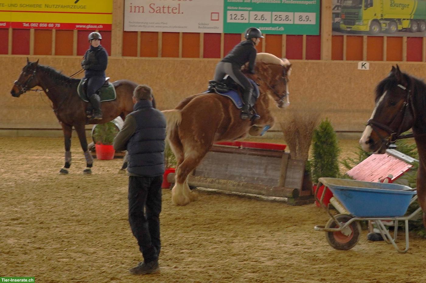 Bild 4: Reitbeteiligung gesucht Nähe Safenwil AG