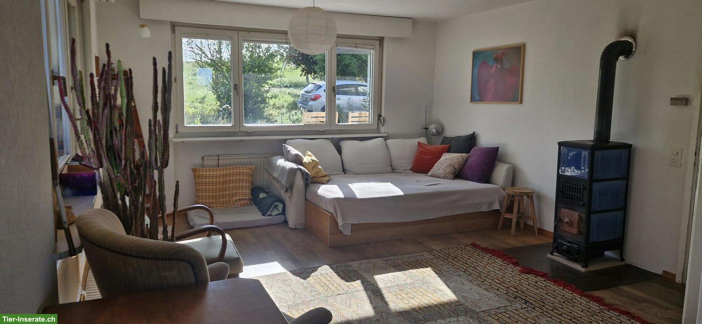 Bild 3: Wohnung auf Bio-Bauernhof in Wölflinswil AG
